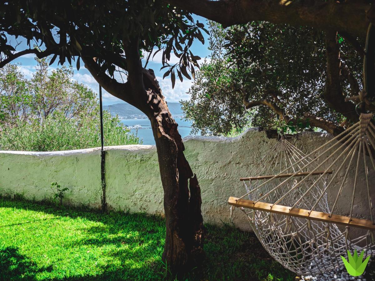 Villa Delle Agavi Vietri المظهر الخارجي الصورة
