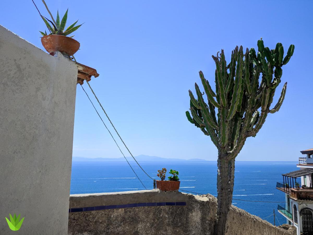 Villa Delle Agavi Vietri المظهر الخارجي الصورة